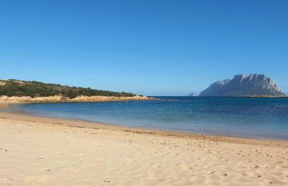 Tabula Apartments - Photo 29