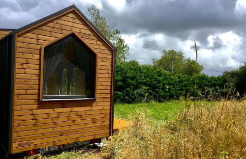 The Legendary Coast by Tiny Away - Foto 10