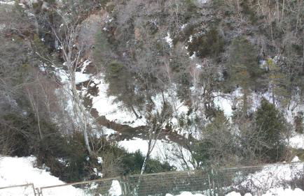 Duplex Calle El Tillo - Foto 17