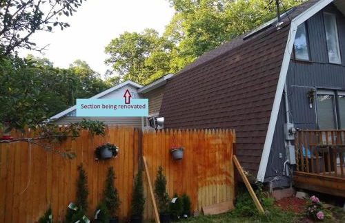 Plant House - Foto 31