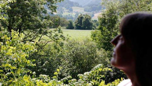 Ferieninsel an der Dreisam - Foto 3