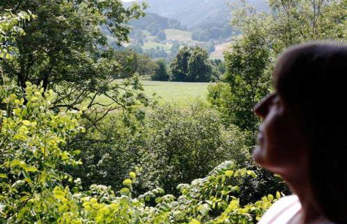 Ferieninsel an der Dreisam - Foto 3