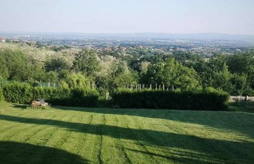 Villa Wolf Castle - vanjski grijani bazen 365 dana i pet friendly - Foto 10