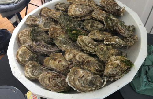 La Plage en Normandie - Foto 20