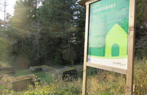 Ferienwohnung-Schoenmuenzblick-Urlaub-im-Nationalpark-Schwarzwald-Schwarzwald-Plus-inklusive - Photo 50