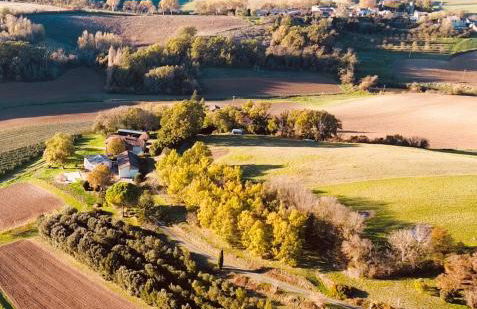 La Truffe Rose - Foto 34