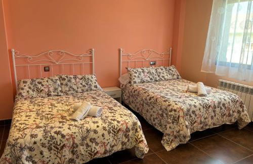 La Libélula - Foto 33