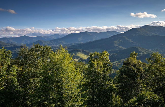 Luxury 4200 Sqft Log Cabin on 50 Acres Sleeps 16 - Foto 39