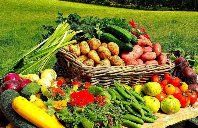 Ballylagan Organic Farm - Foto 15