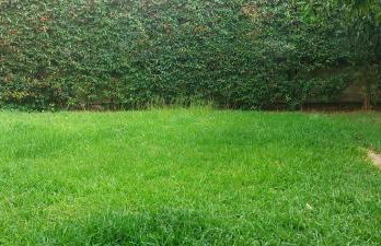 Barnet House Lamezia - Foto 20