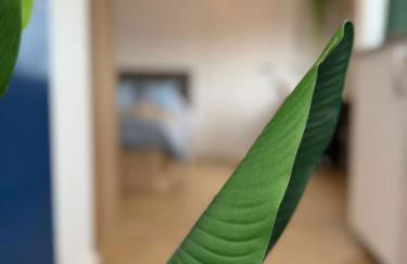 Terraza de ciudad, Familly Home - Foto 28