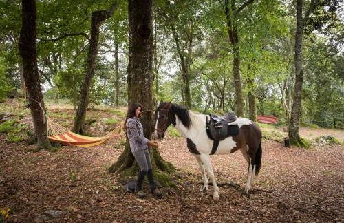 Borgo Pignano Volterra Tuscany - Photo 156