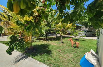 Casa de Campo São Lázaro - Foto 9