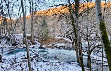 Ferienwohnungen Holder - Photo 14