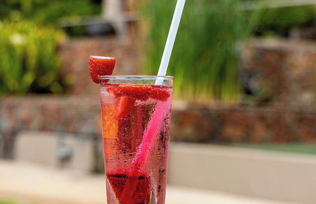 Nkomazi Kruger Lodge - Foto 54