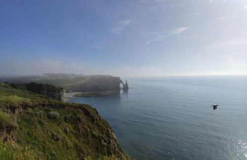 Coqslitscaux - Foto 72