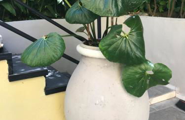 Casa Perla - Foto 47