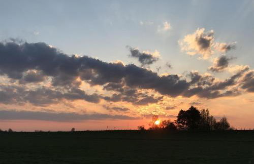 Reetdachhaus Rüxbüll - Foto 20