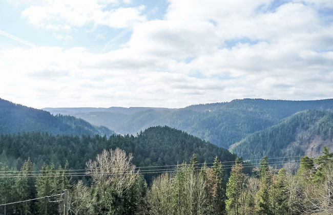 Biohof Herrenweg - Foto 15