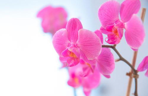 Cjase al Tistignar - Foto 3