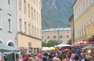 Silberwurz - Foto 15