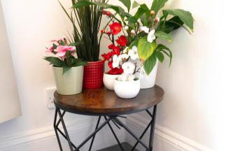 Sunny Beachside Apt with Free Parking - Foto 36