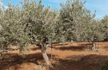 Villa Stefano - avec piscine privée à Trapani - Foto 32