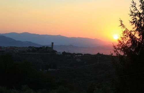 Fattoria Cristina - Fenice - Foto 23