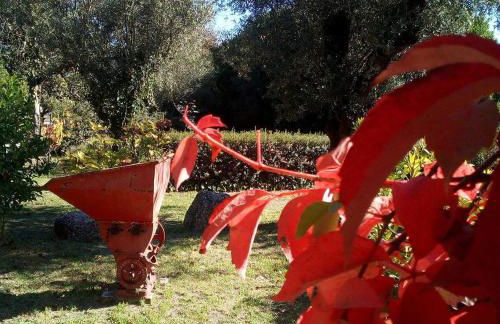 Casas Do Zagão - Turismo Rural - Foto 5