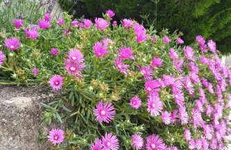 Stancija Smokovo 1873 - Foto 47