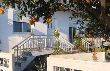 Lemon tree's house - Foto 28
