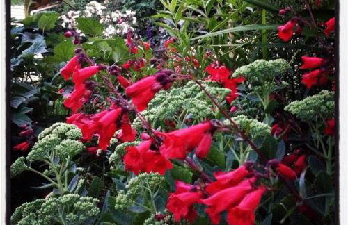 Charming 1914 Craftsman Home - Photo 25