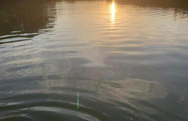 Ferienwohnung 2 am Herrenhaus Ahrensbök - Foto 9