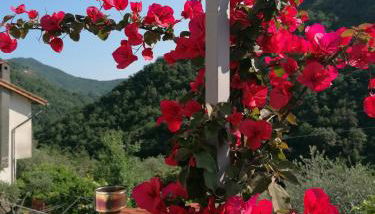 Casa Andreina - Photo 2