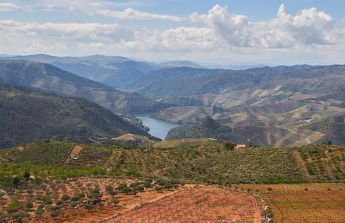 SPA - Casa do Avo BESELGA - Foto 46