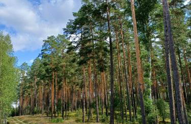 Domek u Bartnika z basenem na Mazurach - Foto 4