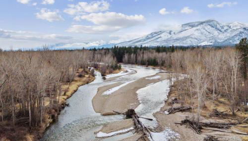 The Willow Suite Cabin - Foto 5