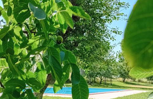 Agriturismo Il Cornalino - Foto 72