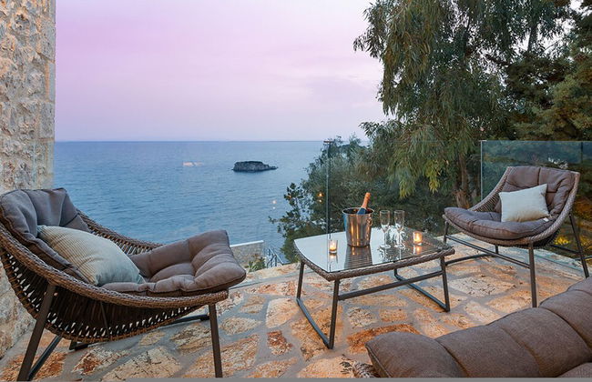 White Orchid Vanda in Vola - Photo 18