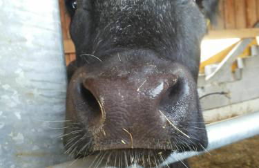 Agriturismo La Fonte di Mariella - Foto 90