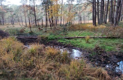 Rykowisko - domki całoroczne nad jeziorem i rzeką - Foto 42