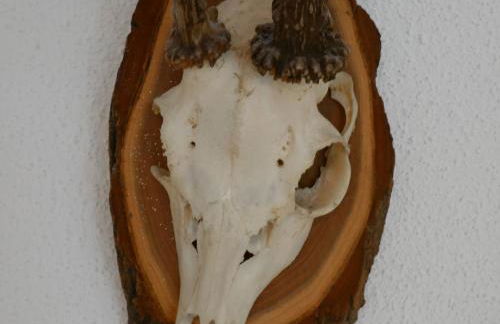 Ferienwohnungen Knodel - Foto 39