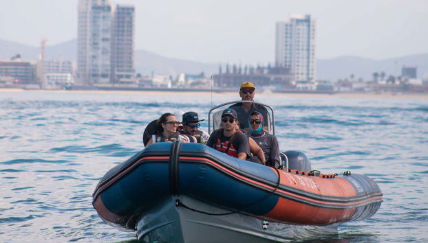 Mazatlán Whale Watching Tour + Whale Museum - Foto 3