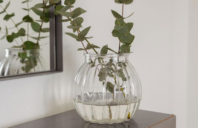 Agustín 1 Apart - Photo 25