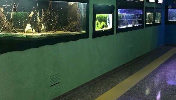 Acuarios del Ecomuseo