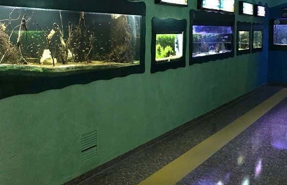 Visita guiada por el Ecomuseo del Delta del Ebro - Foto 5