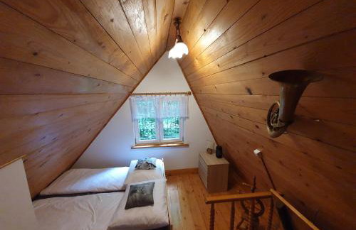 Leśny Zakątek - Foto 13