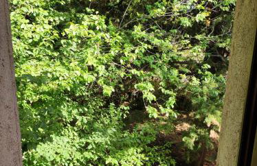 Jankovich Castle - Photo 9