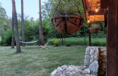 Kajaki wino i śpiew - domek z sauną w otoczeniu lasów i sąsiedztwie zalewu - Foto 5