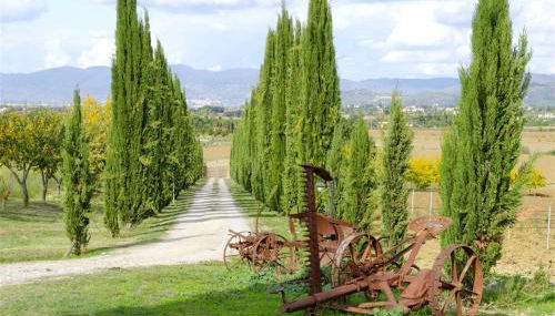 The Estate 1760 - Holiday and Wedding in Cortona - Foto 4, Garden view